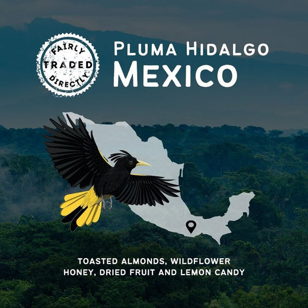 Pluma Hidalgo, Mexico
