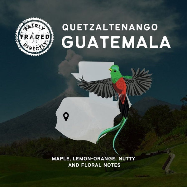 Quetzaltenango, Guatemala (5lb Bag)