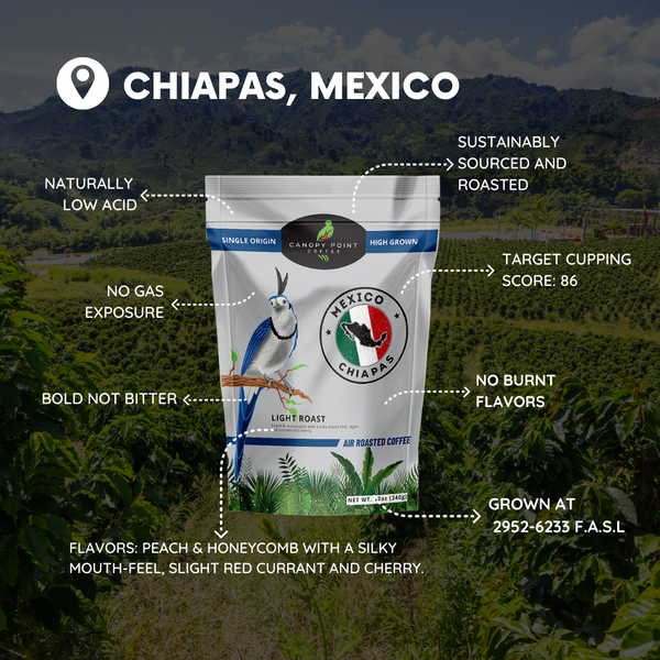 Chiapas, Mexico (5lb Bag)