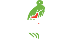 Canopypointcoffee